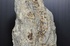 天鼎聚寶http://sanni.movingo.com.tw