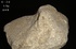 天鼎聚寶http://sanni.movingo.com.tw