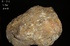 天鼎聚寶http://sanni.movingo.com.tw