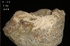 天鼎聚寶http://sanni.movingo.com.tw
