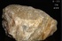 天鼎聚寶http://sanni.movingo.com.tw
