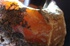 天鼎聚寶http://sanni.movingo.com.tw