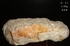 天鼎聚寶http://sanni.movingo.com.tw