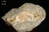天鼎聚寶http://sanni.movingo.com.tw