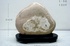 天鼎聚寶http://sanni.movingo.com.tw