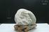 天鼎聚寶http://sanni.movingo.com.tw