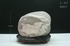 天鼎聚寶http://sanni.movingo.com.tw