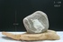 天鼎聚寶http://sanni.movingo.com.tw