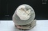 天鼎聚寶http://sanni.movingo.com.tw
