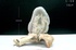 天鼎聚寶http://sanni.movingo.com.tw